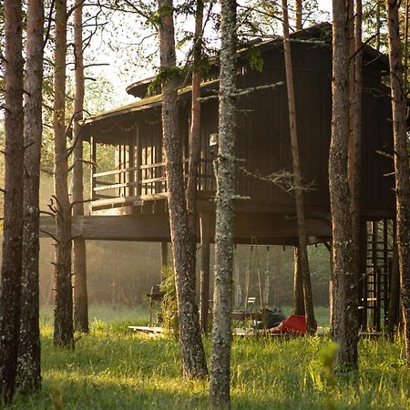 Sambliku Treehouse Jogisoo Exterior foto